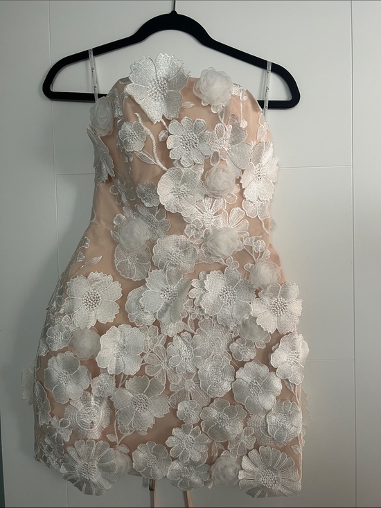 Mew Mews Dresses & Skirts - Blush Pink Floral Lace Mini Dress with White Appliqué